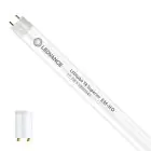 Ledvance Tubo LED T8 Superior (EM/Mains) High Output 17.7W 3100lm - 840 Bianco Freddo | 150cm - Sostitutiva 58W